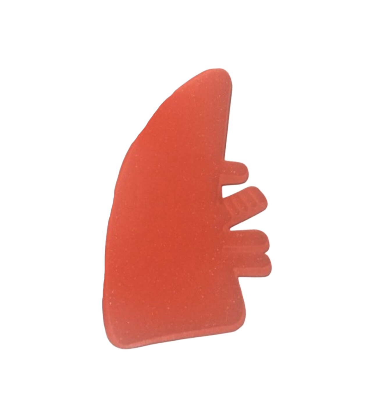 Modelo pulmonar · detalle