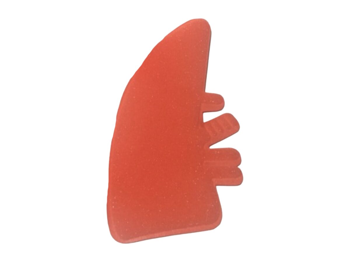 Modelo pulmonar · vista lateral